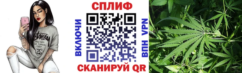 ГАШИШ Елабуга