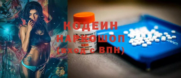 дживик Анива