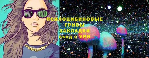 винт Вяземский
