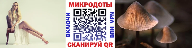 купить закладку  Елабуга  Галлюциногенные грибы ЛСД 