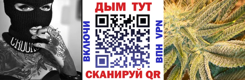 купить наркотики цена  Елабуга  Каннабис тримм 